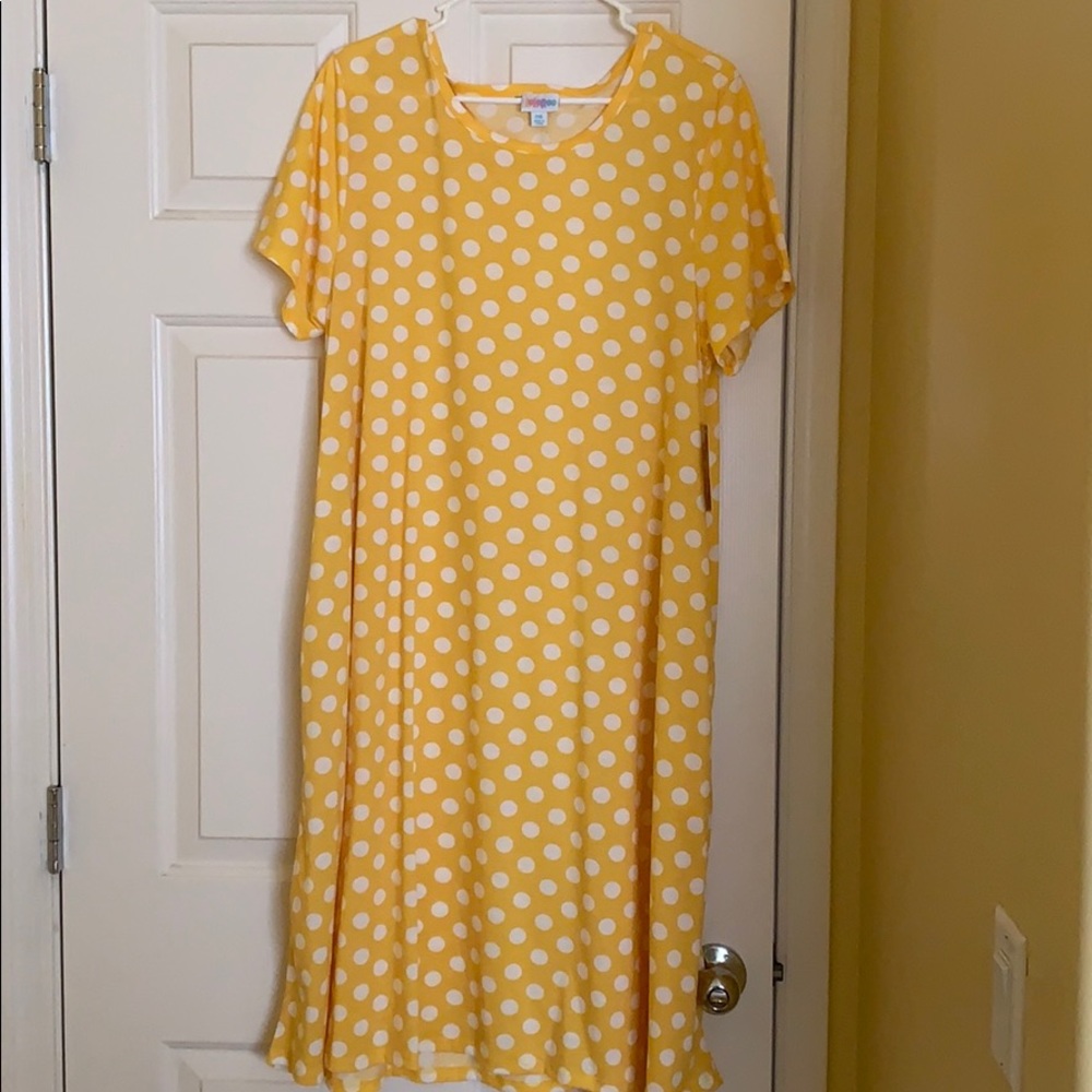 NWT 2XL LulaRoe Jessie dress
